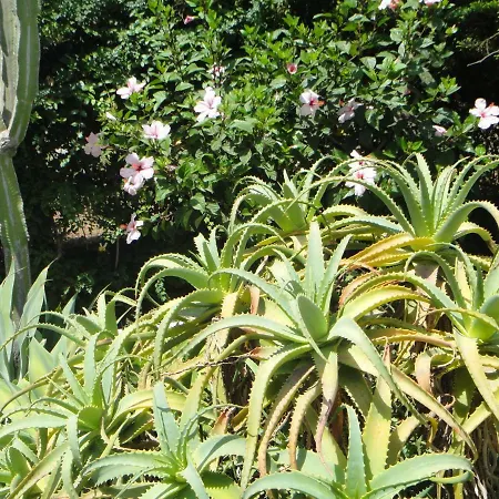La Rosa Dei Venti - Casa Scicli * Cava dʼAliga
