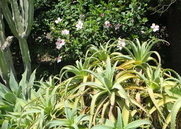 La Rosa Dei Venti - Casa Scicli * Cava dʼAliga